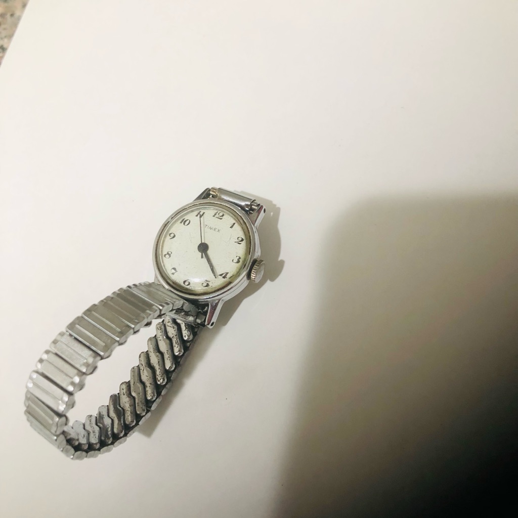 Timex Silver Timepiece With White Face